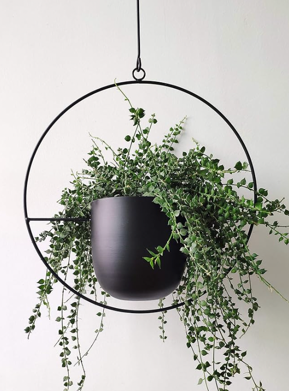 Black Metal Plant Hanger,Metal Wall and Ceiling Hanging Planter, Modern Planter, Mid Century Flower Pot Plant Holder